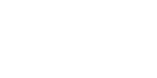 Smile N Shine Logo